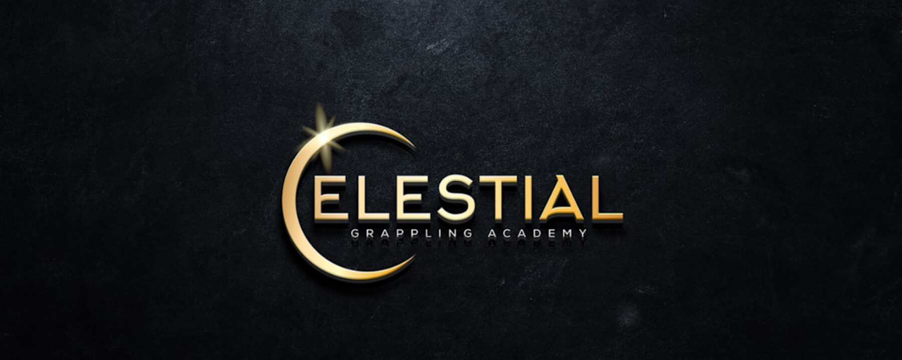 Celestial Grappling Academy